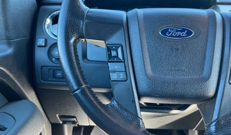 2014 Ford F-150 SuperCrew XLT 4WD full